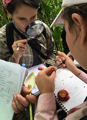 two students, one holding a magnifying glass and the other examining the anatomy of a flower