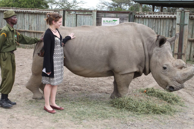 Man and woman touching a rhino in an enclosure