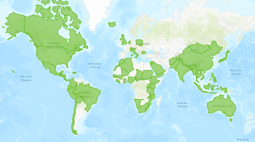 How SIT’s global community came together during the pandemic