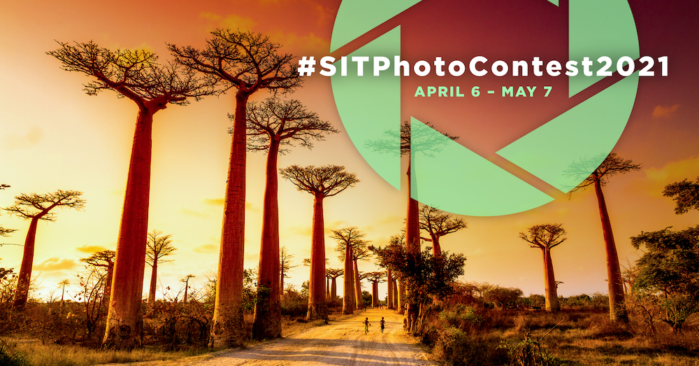 Baobab trees at sunset with a graphic over them of #SITPhotoContest2021 April 6-May 7 superimposed on it.