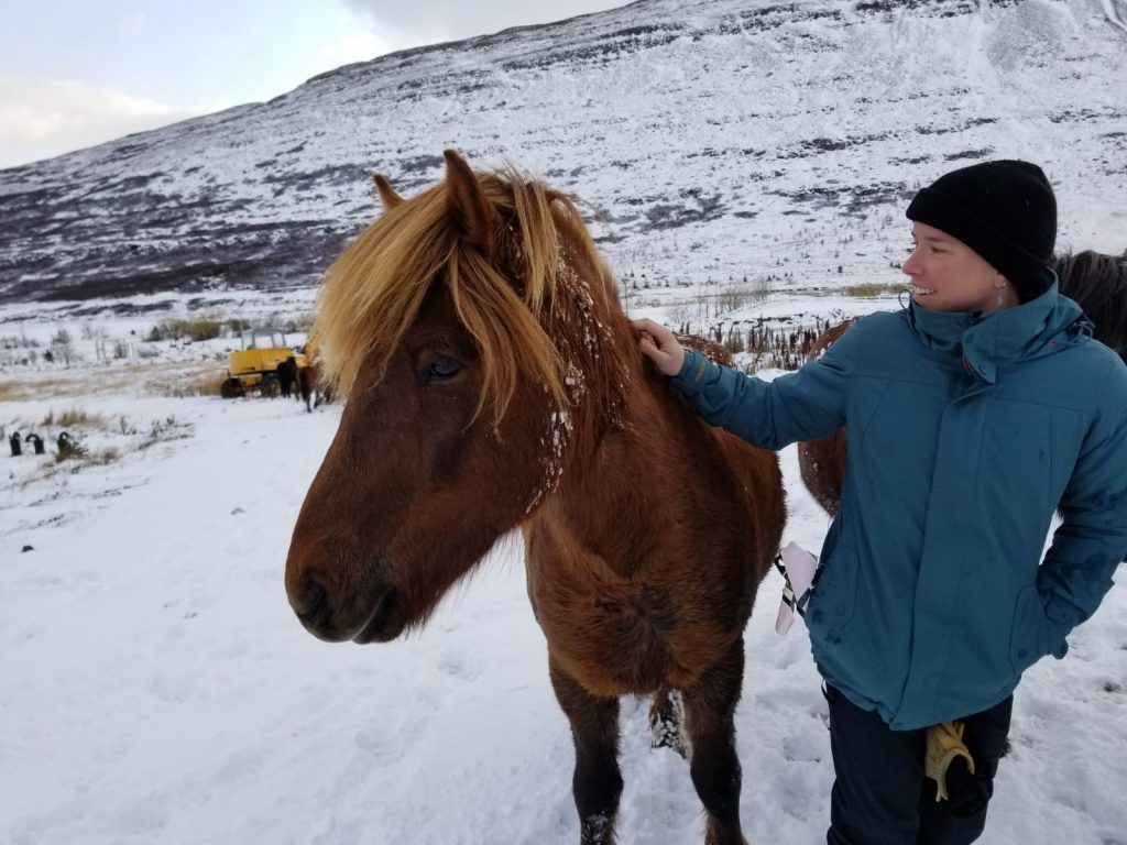 A woman in jacket and hat pets a brown horse.