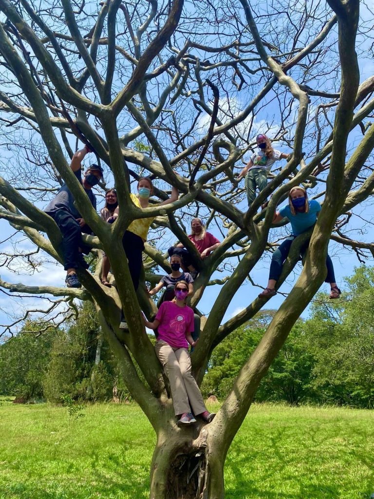 Seven people in the branches of a large tree