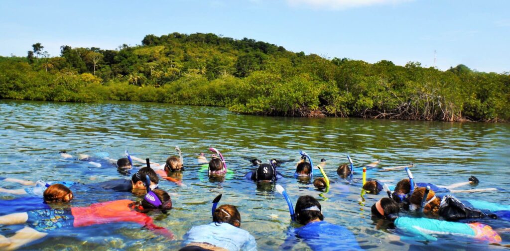 A large circle of students wearing snorkels, their faces submerged in a body of water. The background is lush green trees on a hill.