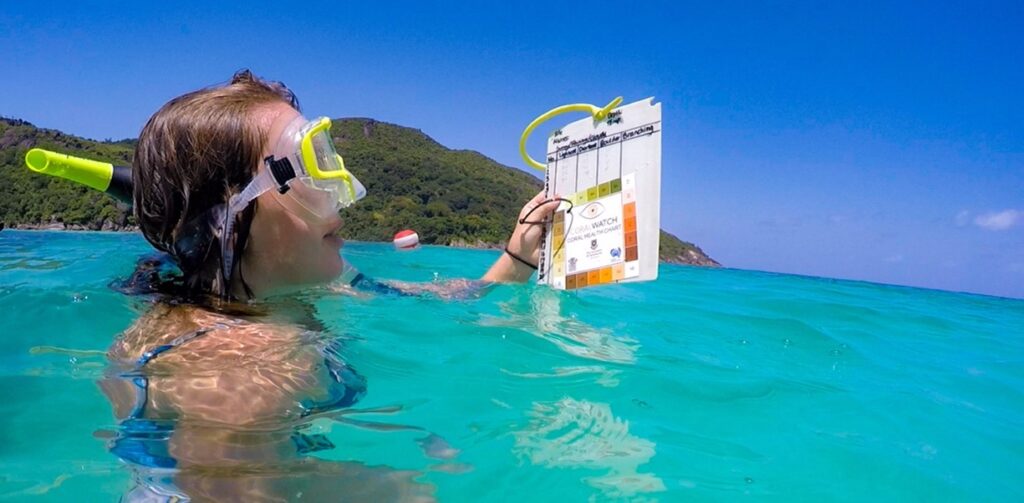 A diver wearing a snorkel in the ocean reviews educational material.