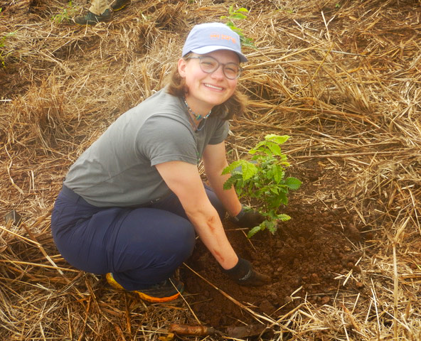 Restoring the critically endangered Mabi rainforest while in Australia