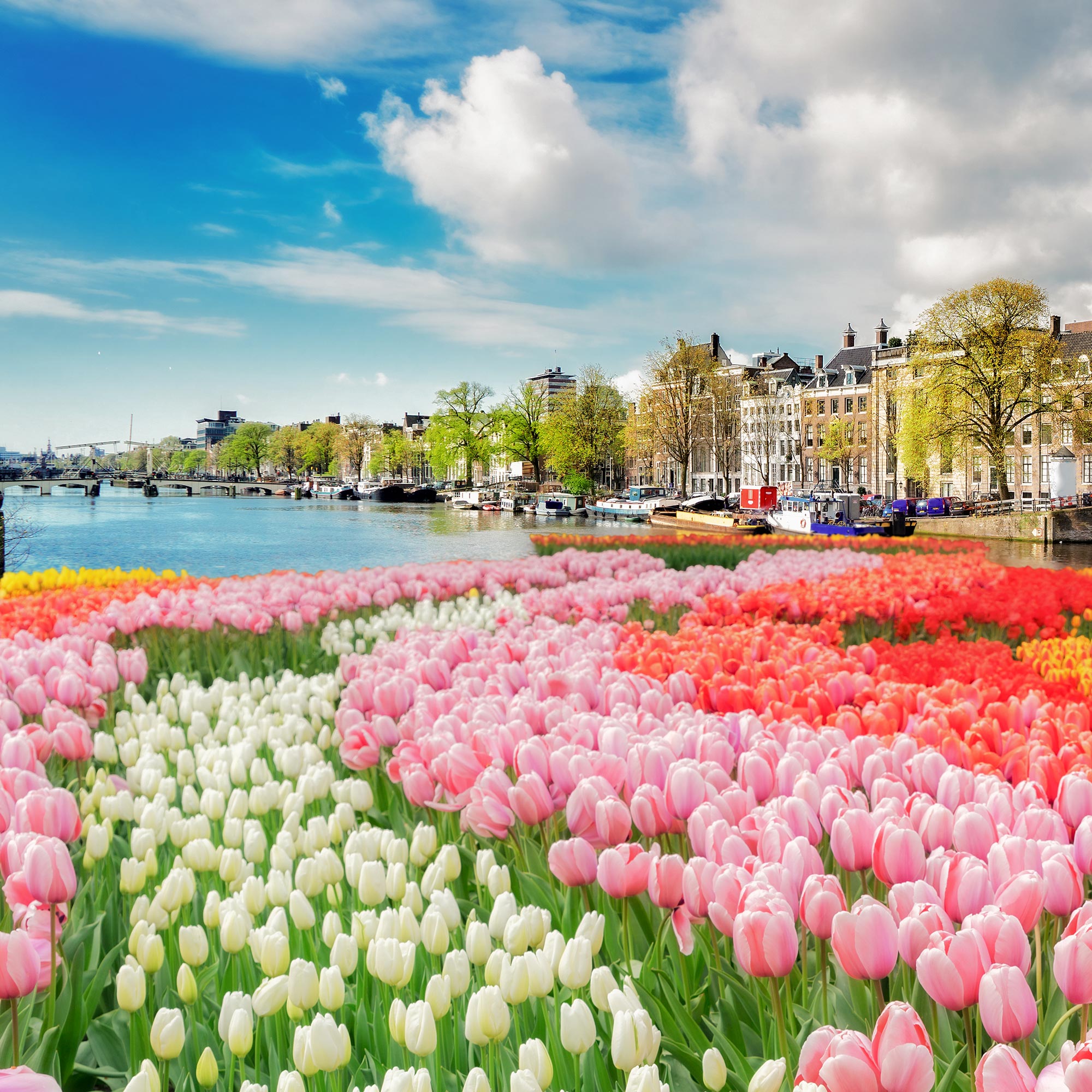 Look what’s new at SIT Study Abroad